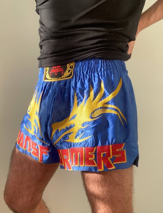 Men's Muay Thai shorts Men's Muay Thai shorts